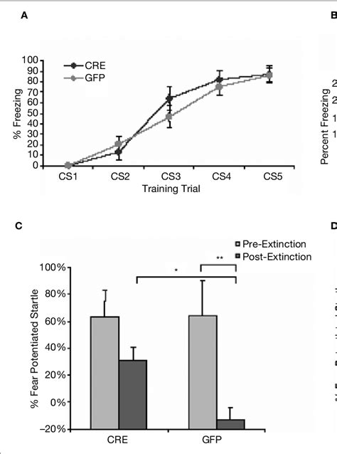 lv cre|The Use of Lentiviral Vectors and Cre/loxP to Investigate the .